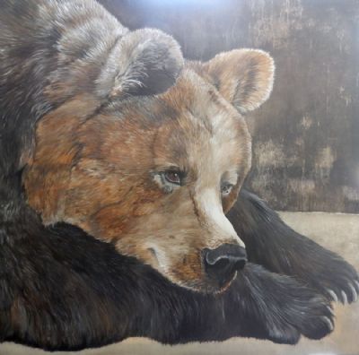 brown bear